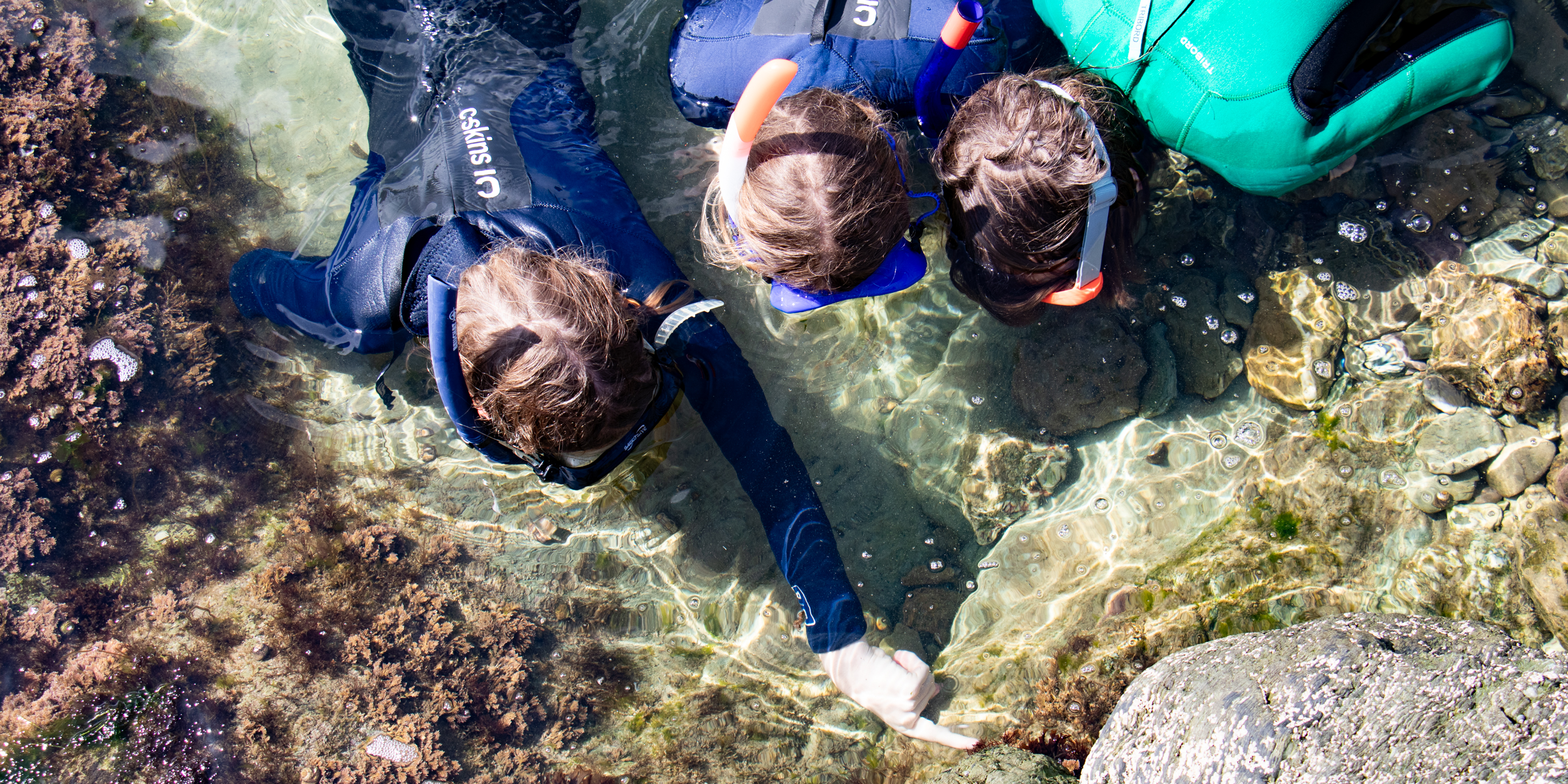 Photo showing children pointing at marine life while snorkelling in a rock pool